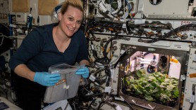 Un astronaut NASA a cultivat prima recoltă de ridichi din Spațiu